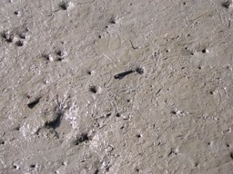 c0081552_22383926.jpg