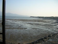 c0081552_22535189.jpg