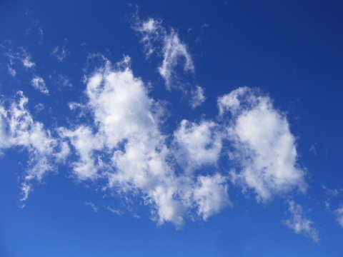 b0015260_8453236.jpg