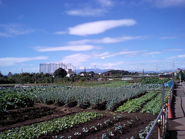 b0024261_23274424.jpg