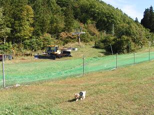 f0067361_16321330.jpg