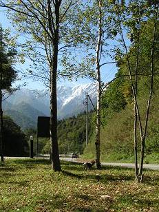 f0067361_16392391.jpg