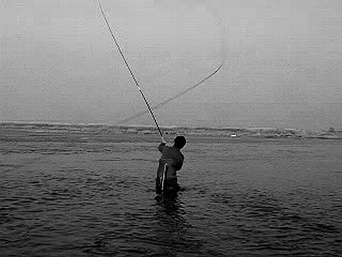 f0084561_1103541.jpg