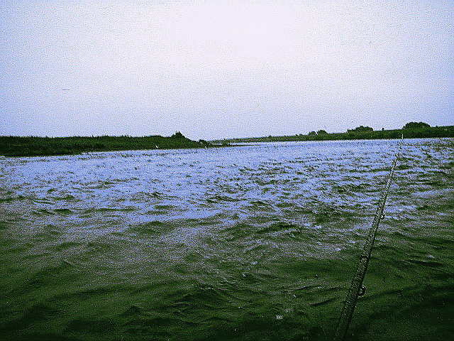 f0084561_110992.jpg