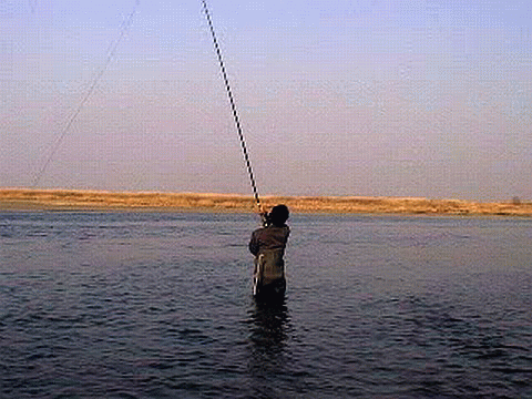 f0084561_1115964.gif