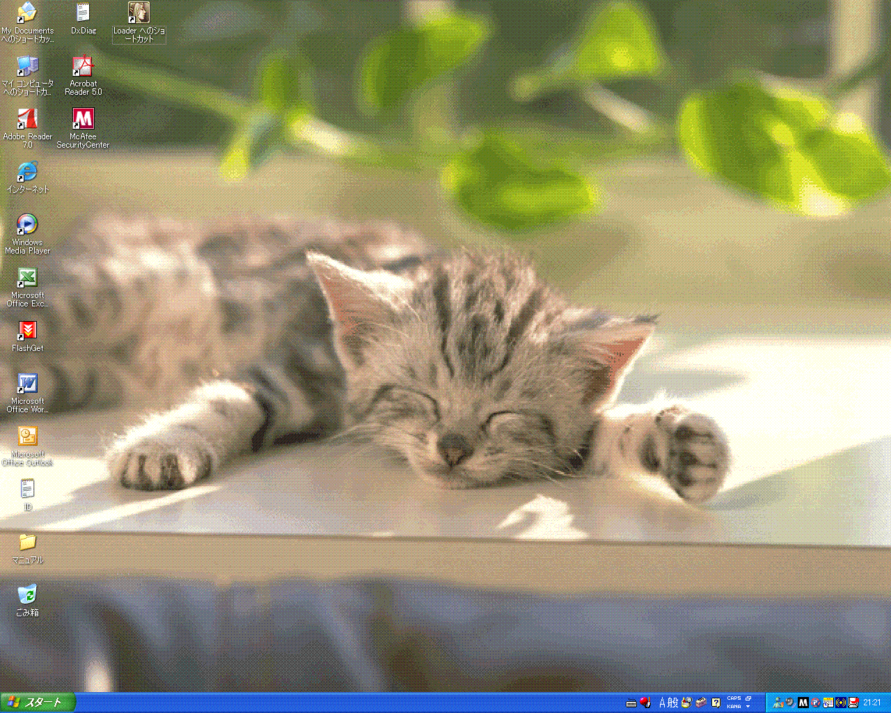 a0040062_21263842.gif