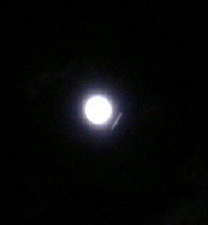 a0063364_02648.jpg