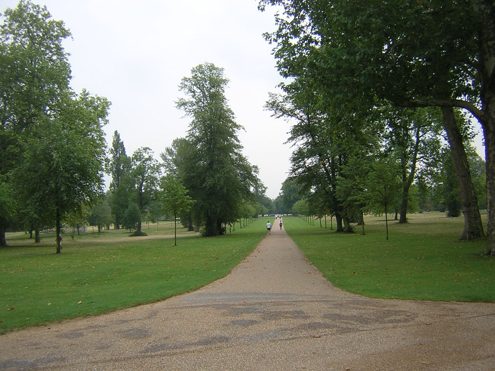 b0046664_0482170.jpg