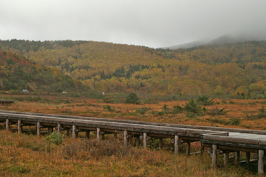 e0006964_10121767.jpg