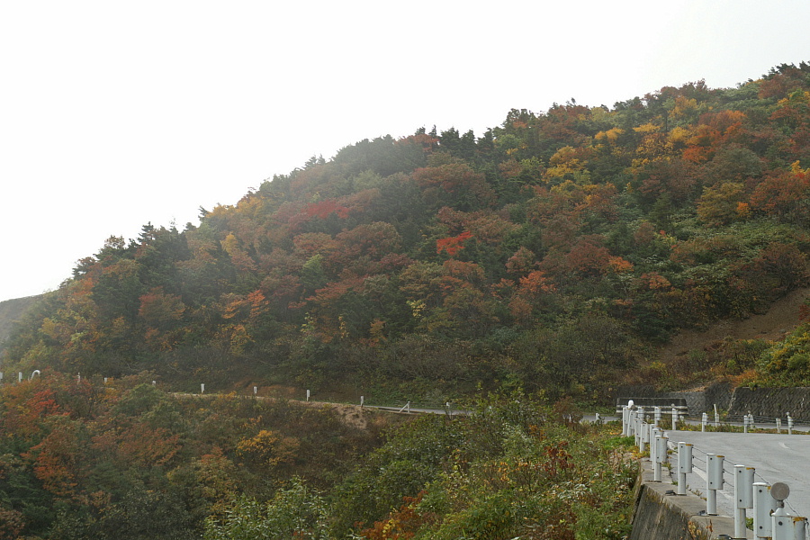 e0006964_10135115.jpg