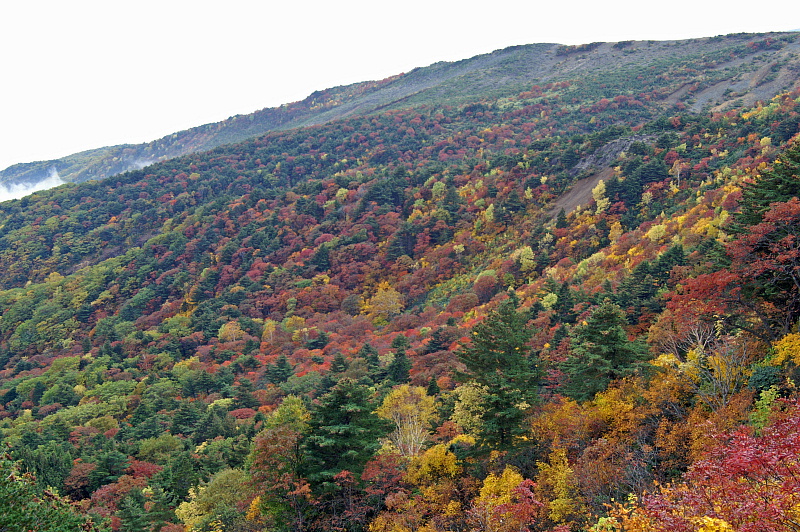 e0006964_10182174.jpg