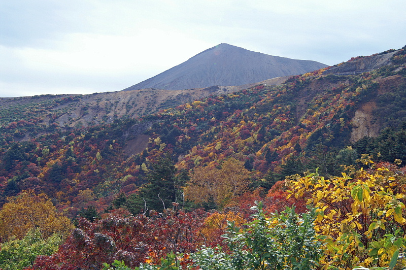 e0006964_101883.jpg