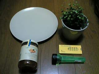 e0071165_2282971.jpg
