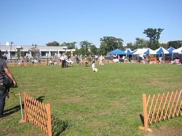 b0103668_22195644.jpg