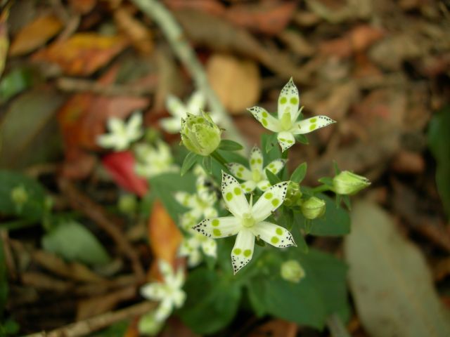 c0042869_1904976.jpg