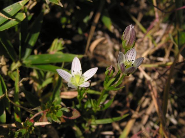 c0042869_1915037.jpg
