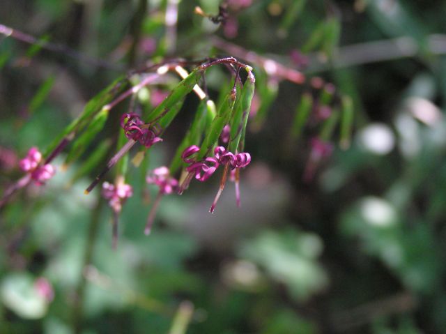 c0042869_1953860.jpg