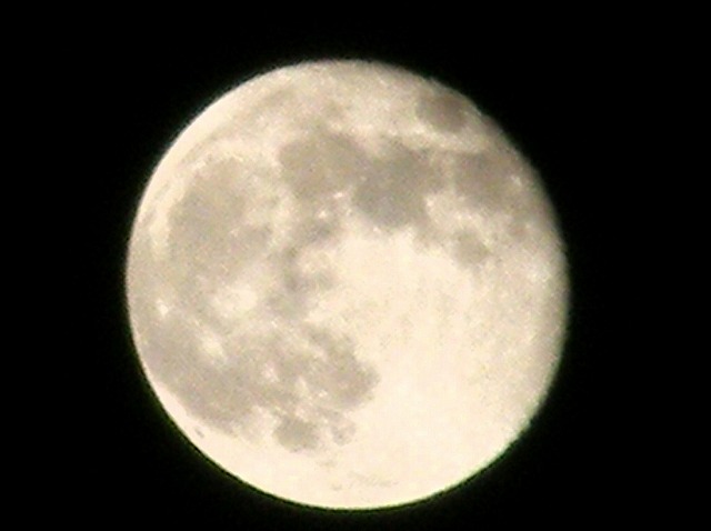 e0078069_1144155.jpg