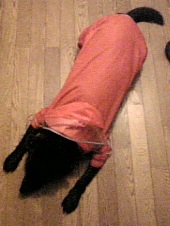f0045872_020543.jpg