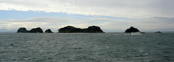 a0012575_1937194.jpg
