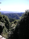 a0035678_0194396.jpg