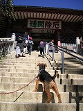 a0035678_021117.jpg