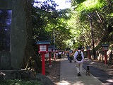 a0035678_021156.jpg