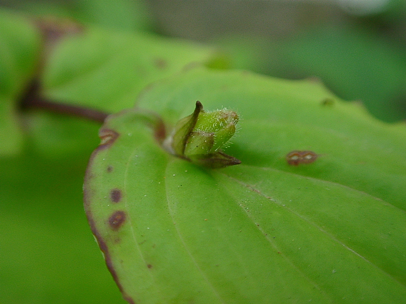 a0079880_3373160.jpg