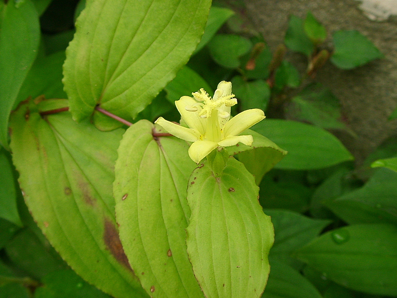 a0079880_3394990.jpg