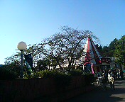 c0066080_23243997.jpg