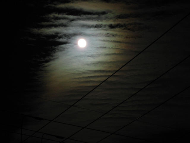 b0042282_155347.jpg