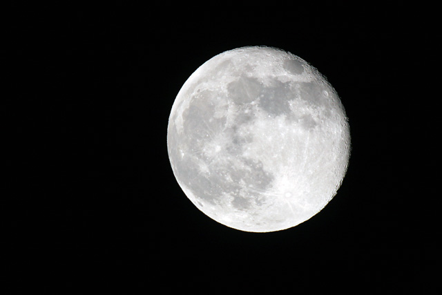 b0042282_195678.jpg