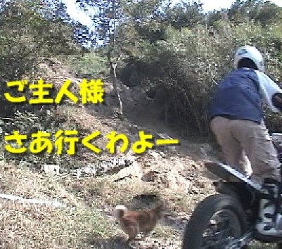 f0061283_1147610.jpg