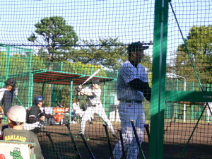 a0056686_1722220.jpg