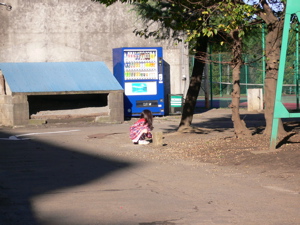 a0056686_1735265.jpg
