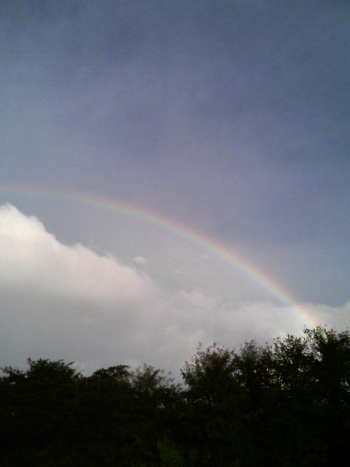 a0055387_5313836.jpg