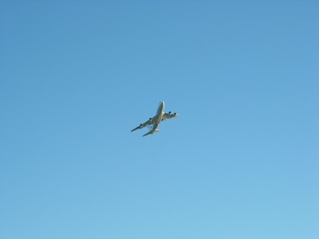 a0045688_2414678.jpg