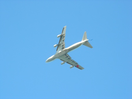 a0045688_2422896.jpg