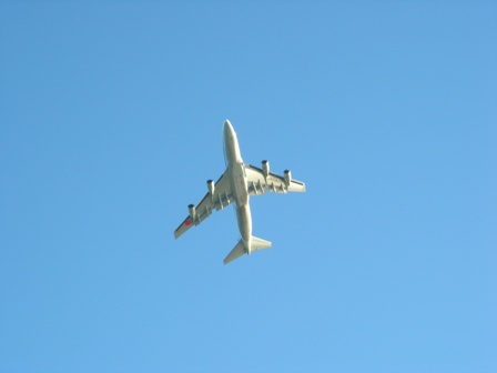 a0045688_242386.jpg