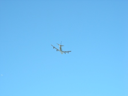 a0045688_2425144.jpg