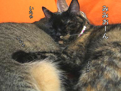 a0045990_0293649.jpg