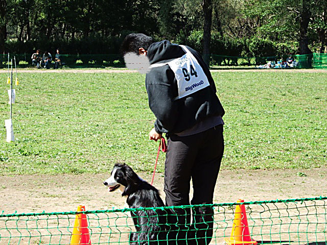 f0054290_15195699.jpg