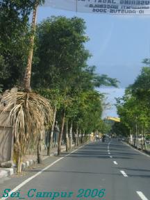 e0073791_1664524.jpg