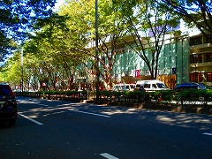 e0084195_17263357.jpg