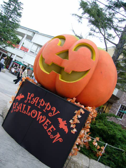 f0076796_8102445.jpg