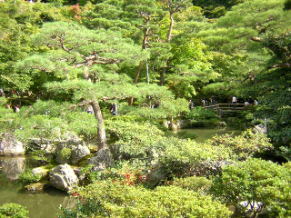 b0013897_23382095.jpg