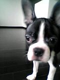 c0092097_0261266.jpg