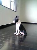 c0092097_0264393.jpg