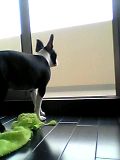 c0092097_0275040.jpg