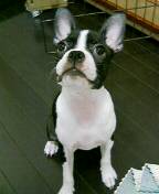 c0092097_0415511.jpg